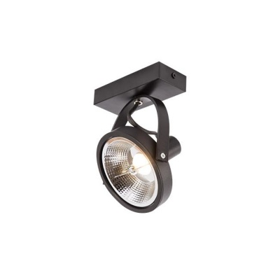Kinkiet  1xAR111  LED Leon sienas/griestu  lampa  melna