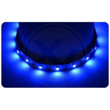LED  lente  2835  Premium  zila  IP20  5m  300 led