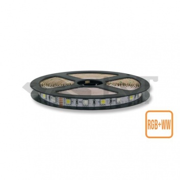 RGB+WW  5050  IP20  LED  lente  5m  300 led