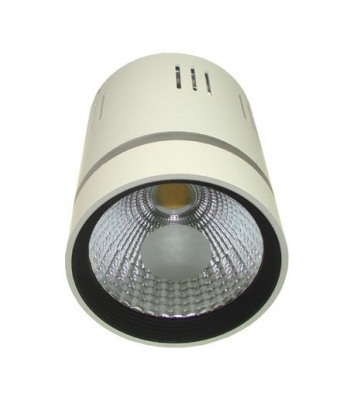 LED  COB  LONER  gaismeklis , 10W+2W , silti  balta+zila