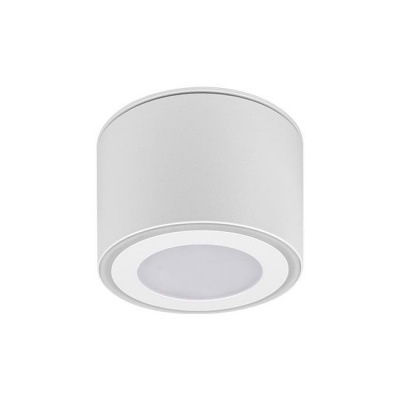 Virsapmetuma  gaismeklis  GX53  Ben , IP54 , 82x60 , akrila  balts